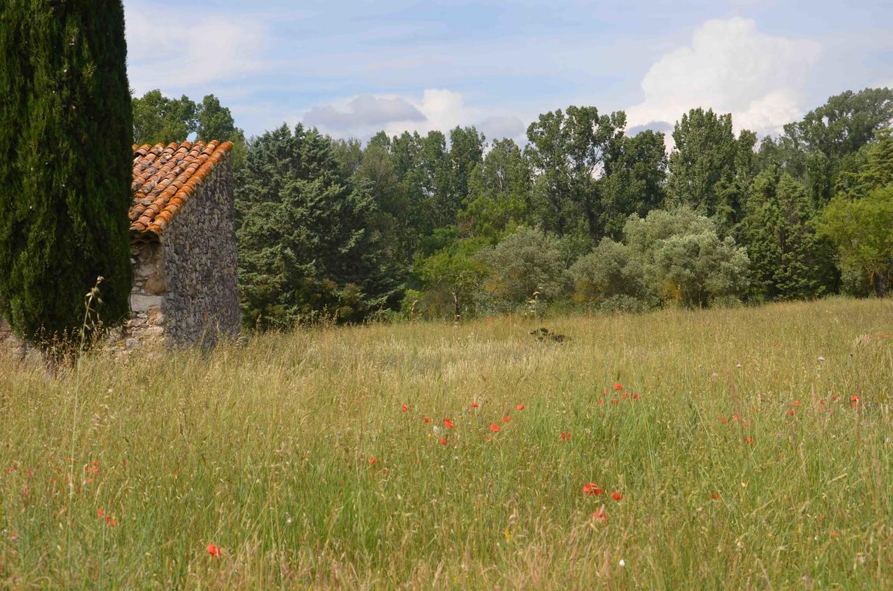 Domaine Shambala - Maison D'Hote En Provence - Piscine Chauffee Velaux Exterior photo
